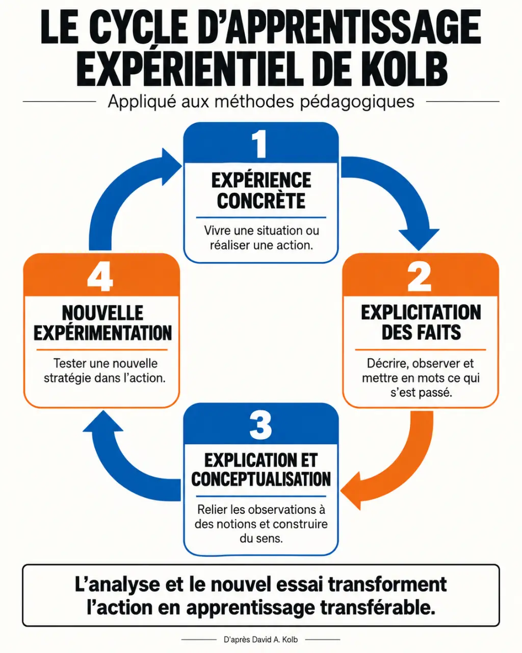 Infographie du cycle expérientiel de Kolb parmi les méthodes pédagogiques